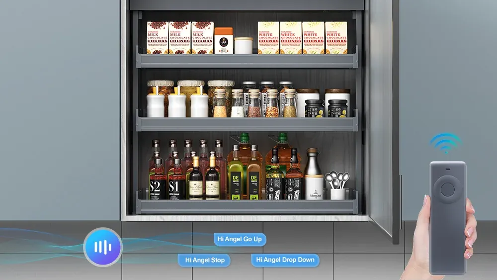 Electric Spice Rack with optional voice and remote control