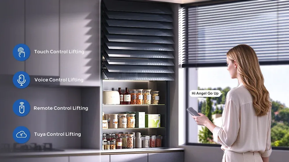 Optional voice and remote control for electric lifting shutter