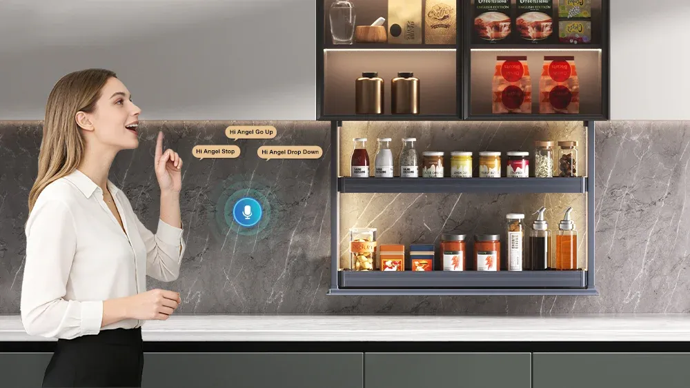 Wall Cabinet Lift System with optional voice and remote control